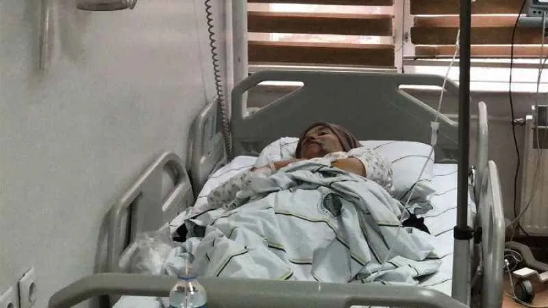 Kurt dehşetinde 5 kişi yaralandı!