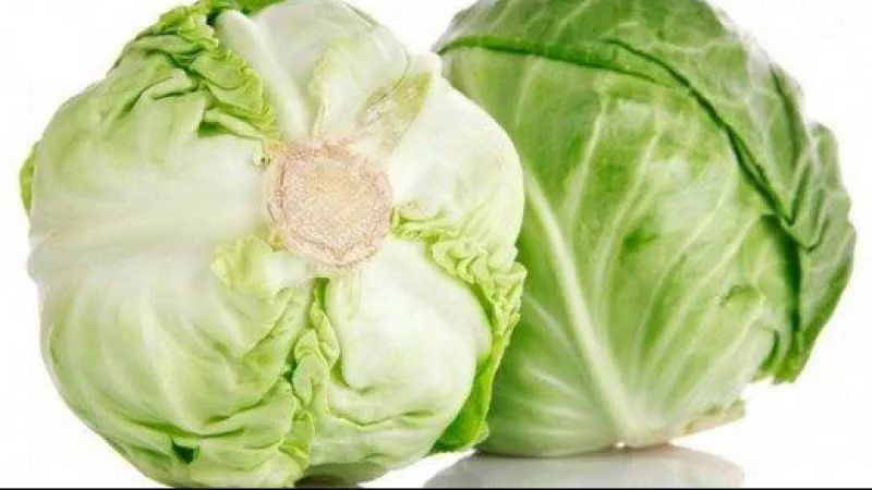 Lahana tüketmek için 7 harika neden 