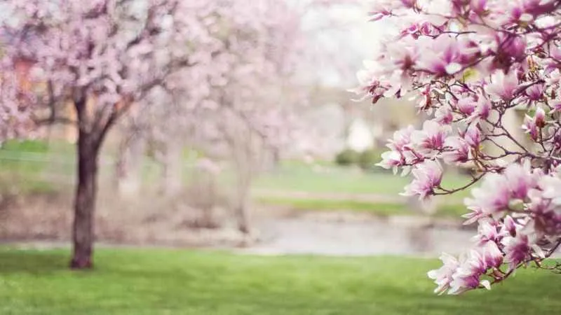 Kapı ve pencereleri kapalı tutun!