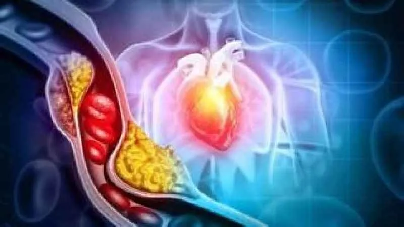 Kansere karşı koruyucu , ruh sağlığına da iyi geliyor ! Hayatı değiştiren diyet 