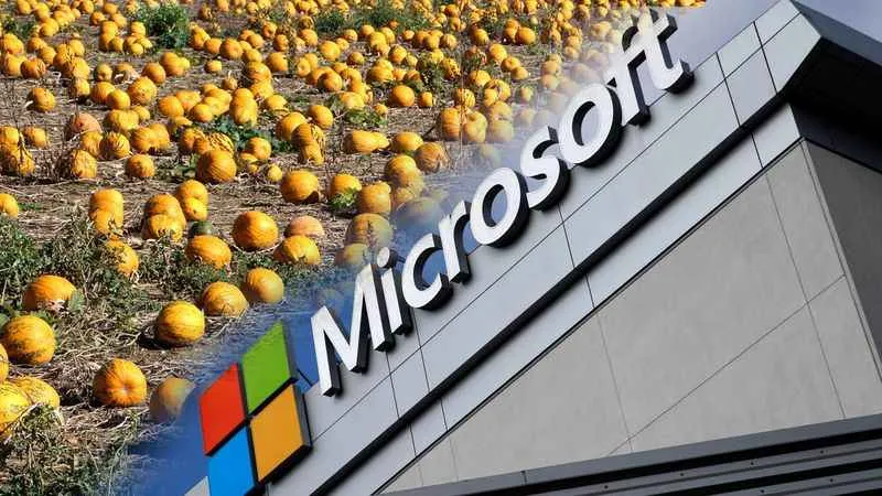 Microsoft, balkabağı çiftliğine 76 milyon dolar ödedi