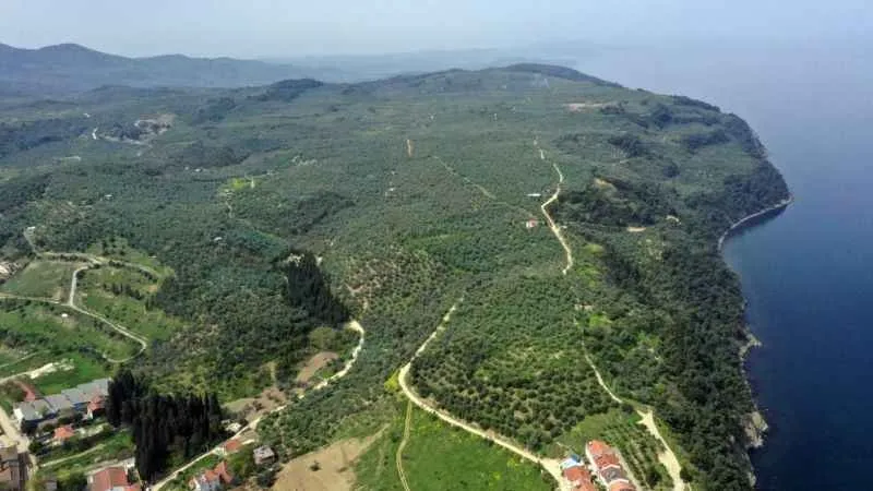 Mudanya'nın zengin mirasını keşfe çıkın!