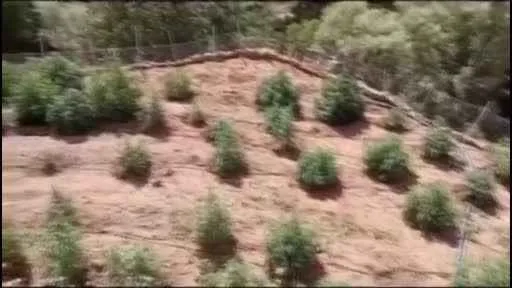 Bölücü örgütünün 36,4 milyar Türk lirası yasa dışı gelir elde etmesi engellendi