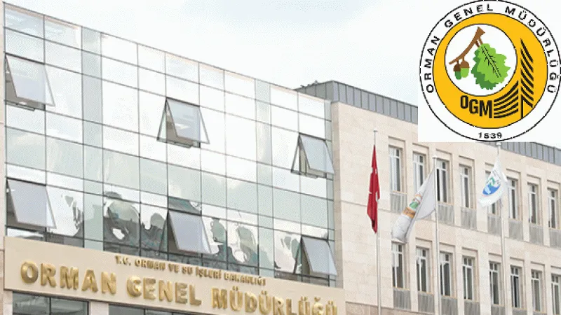 İSTANBUL ORMAN BÖLGE MÜDÜRLÜĞÜ MUHTELİF İŞLETME MÜDÜRLÜKLERİ SORUMLULUK SAHALARINDA ODUN DIŞI ORMAN ÜRÜNLERİNİN ENVANTER VE PLANLAMA ÇALIŞMALARININ YAPILMASI VE ODUN DIŞI BİTKİSEL ÜRÜNLER FAYDALANMA PLANI YAPILMASI ORMAN İŞLETME MÜDÜRLÜĞÜ-İSTANBUL DİĞER Ö