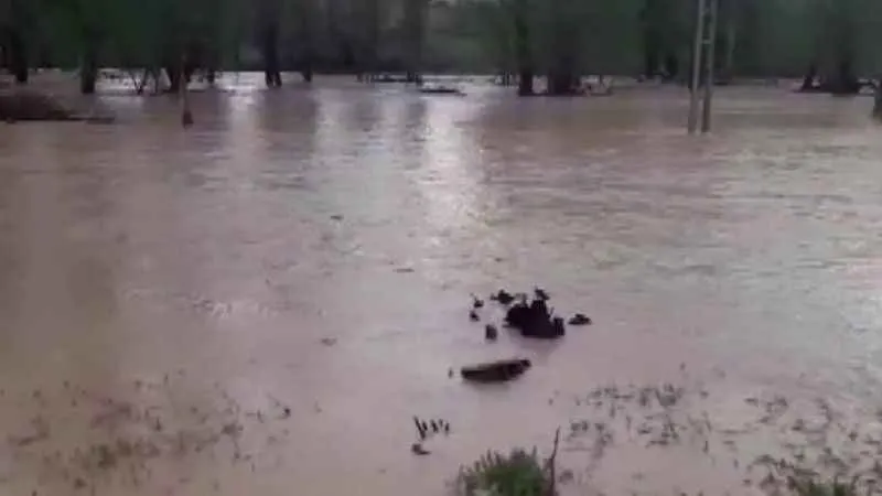 Ordu'da sel sebebiyle eğitime bir gün ara verildi