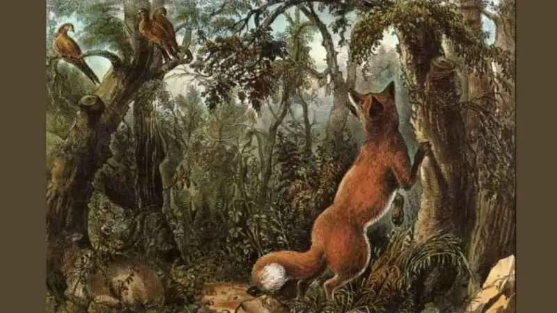 Ormandaki gizli yüzleri bulanın IQ seviyesi arşa çıkıyor! 