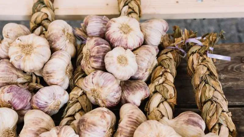 Sarımsak tarlada 15, markette 40 lira