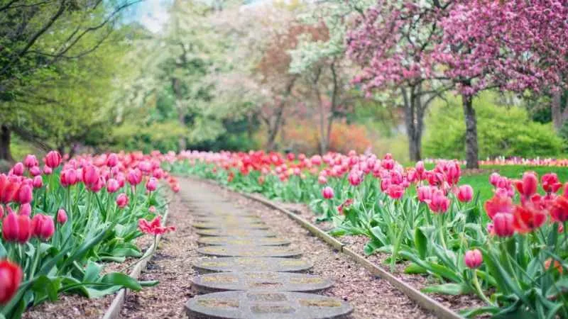 Bahar aylarında alerjik astıma dikkat!