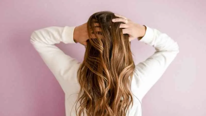 Evcil hayvanınız yüzünden saçlarınızı kaybetmeyin!