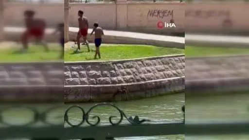 Çocukların Porsuk Çayı’nda tehlikeli serinleme yöntemi