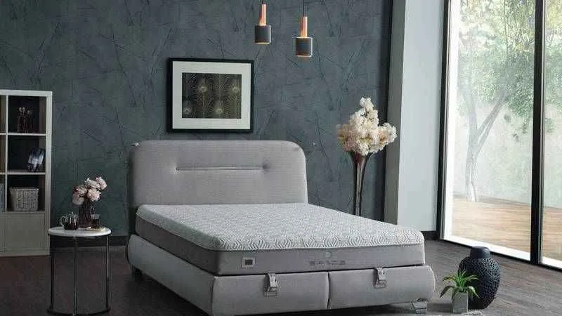 Doğanın etkili gücü şimdi Armis’in Space yatak modelinde