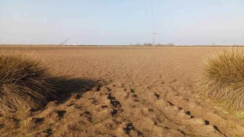 Türkiye’nin yüzde 22,5'i yüksek çölleşme riski altında