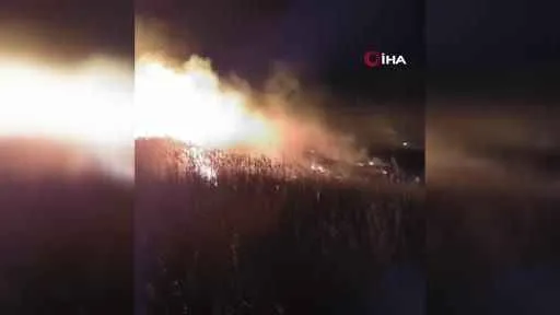 Ağrı’da bir tarla küle döndü