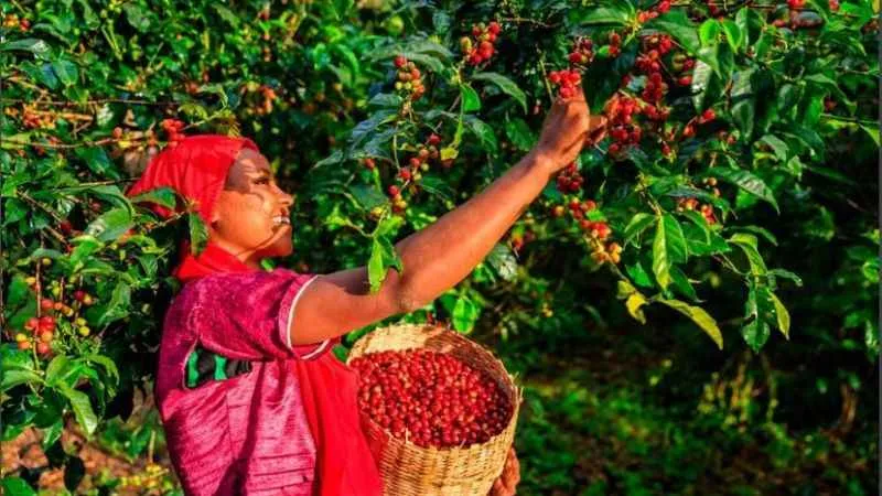 Tchibo, gezegeni korumaya odaklanıyor