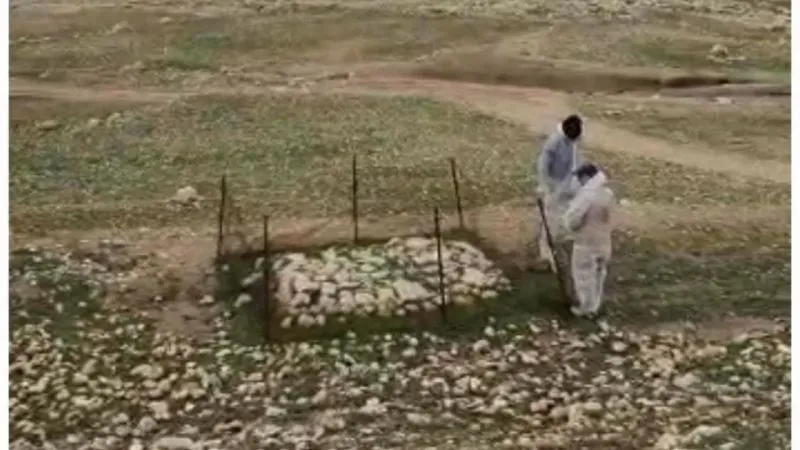 Irak’ta terör örgütü DEAŞ’ın katlettiği Yezidilere ait toplu mezar bulundu